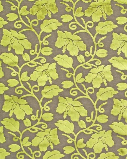 pembroke lime vl7136 52 1ca783e1 c6eb 4c0b 9e12 7a5354e90dc3