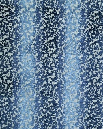 serengeti pacific sr511 243 grande 5662be64 23e9 4695 adc1 7ee372a4ee8b